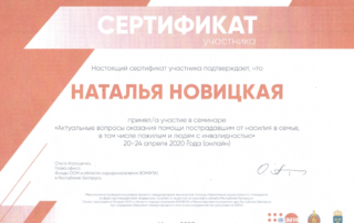 Актуальные вопросы оказания помощи пострадавшим от насилия в семье, в том числе пожилым и людям с инвалидностью
